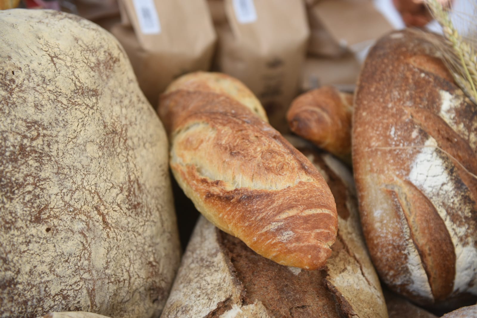 Pão artesanal é resultado da qualidade da fermentação - gazeta do povo