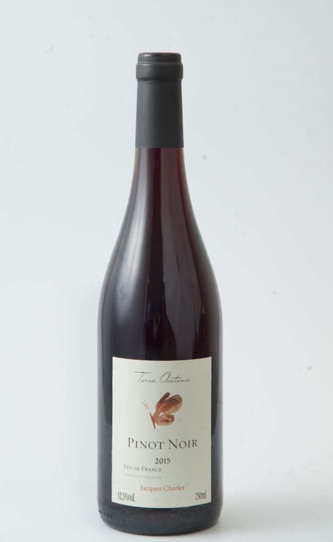 Pinot Noir: os 9 melhores vinhos do mundo até R$ 150