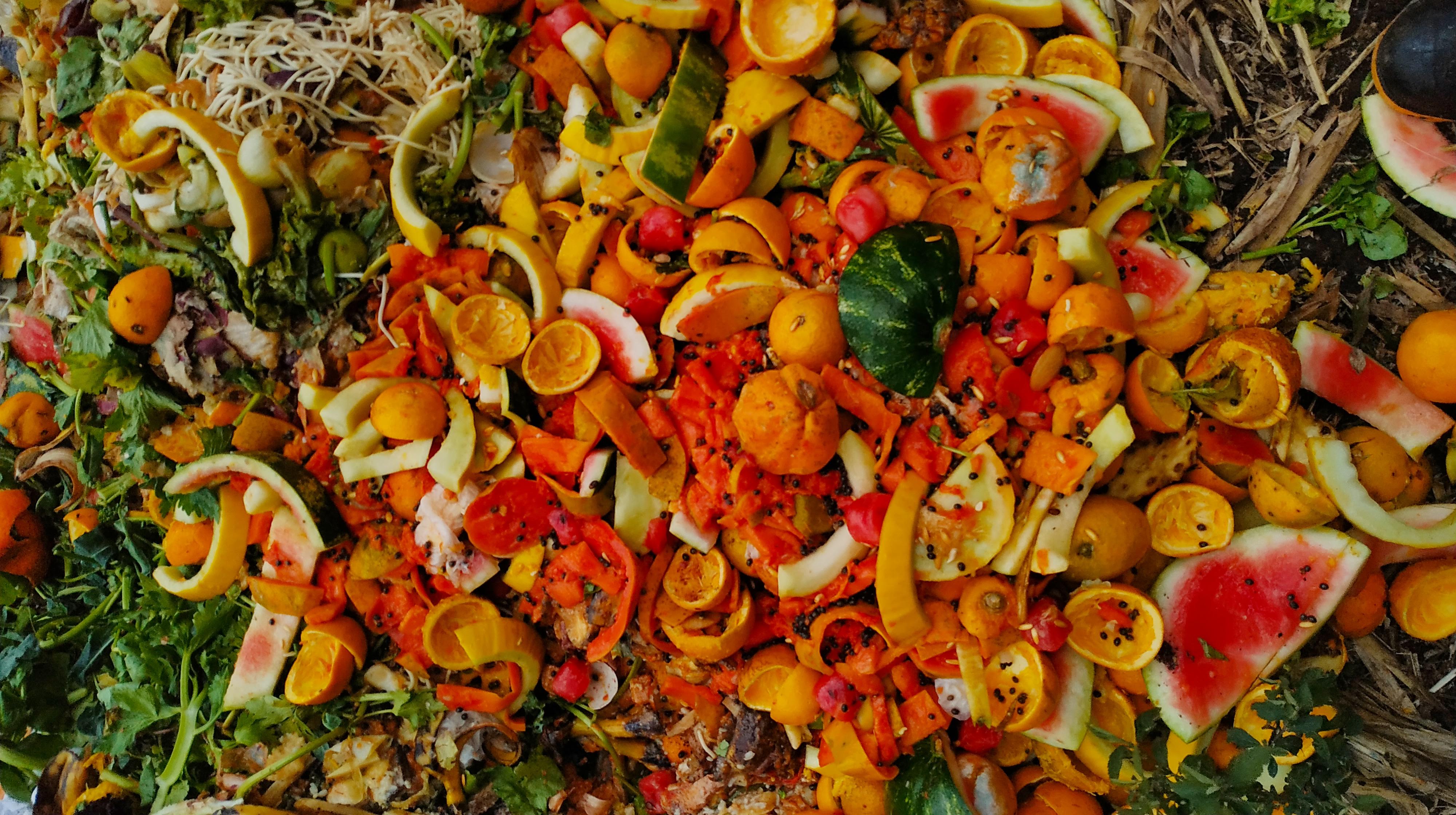 Compostagem fácil: conheça empresa que facilita a prática